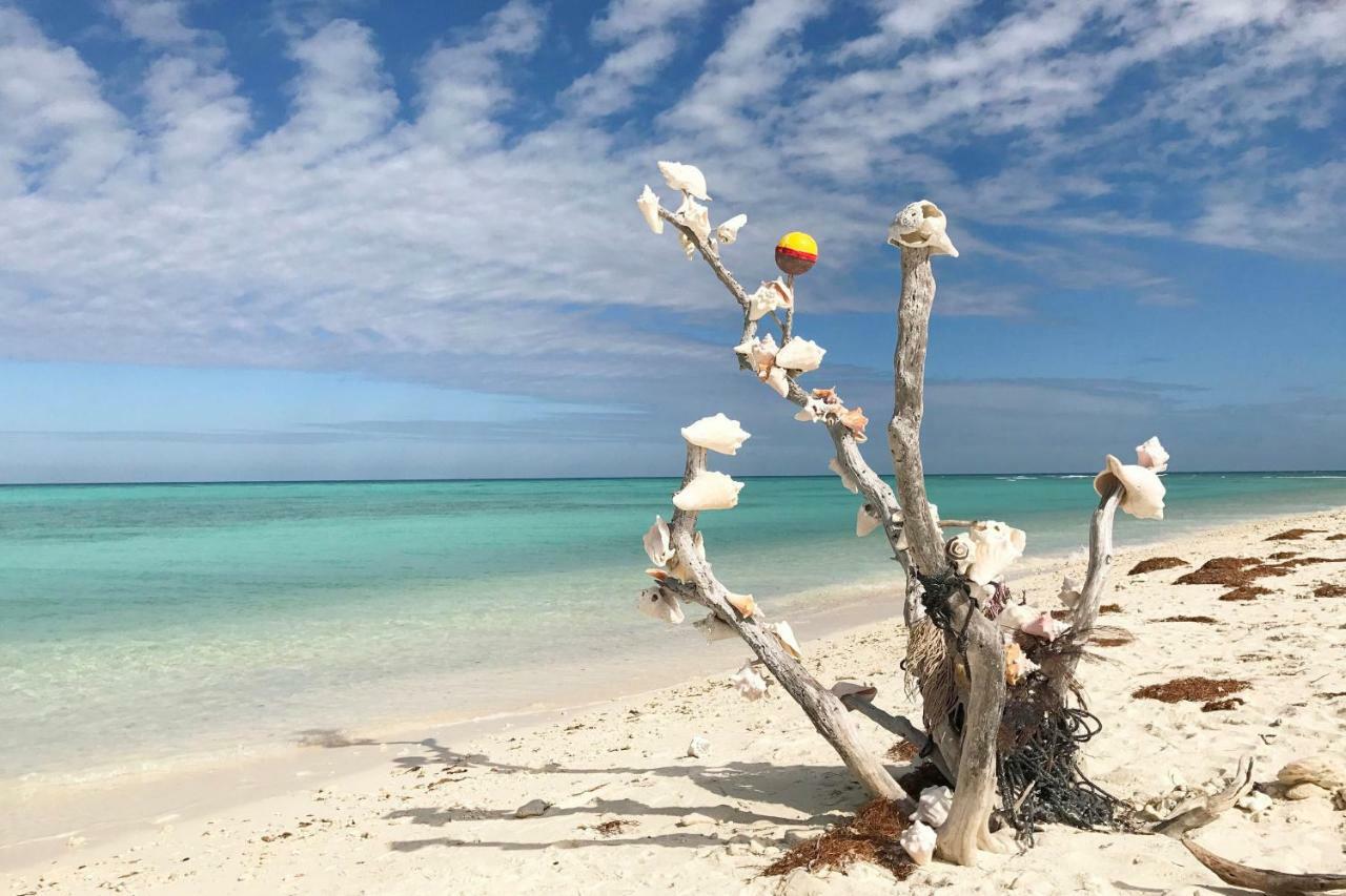Leeward Isle Villa Key West Dış mekan fotoğraf